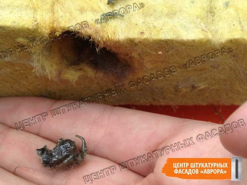 Минвата Басвул - королек Включения королька в минеральной вате Басвул под штукатурку