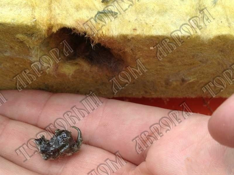 Включения связующего Обнаружить все включения практически невозможно в процессе утепления